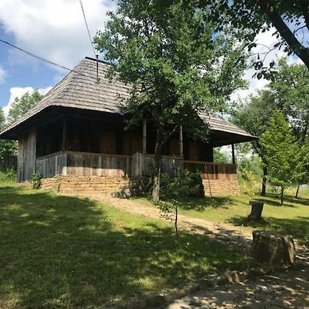 Willa Granny'S House Moisei Zewnętrze zdjęcie