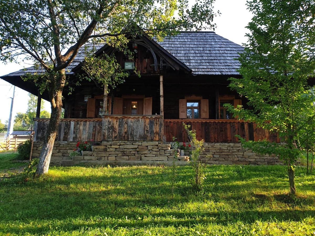 Willa Granny'S House Moisei Zewnętrze zdjęcie