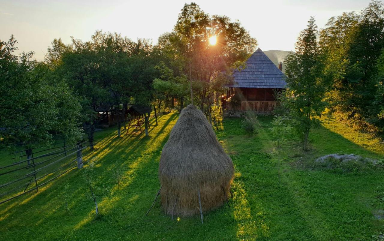 Willa Granny'S House Moisei Zewnętrze zdjęcie