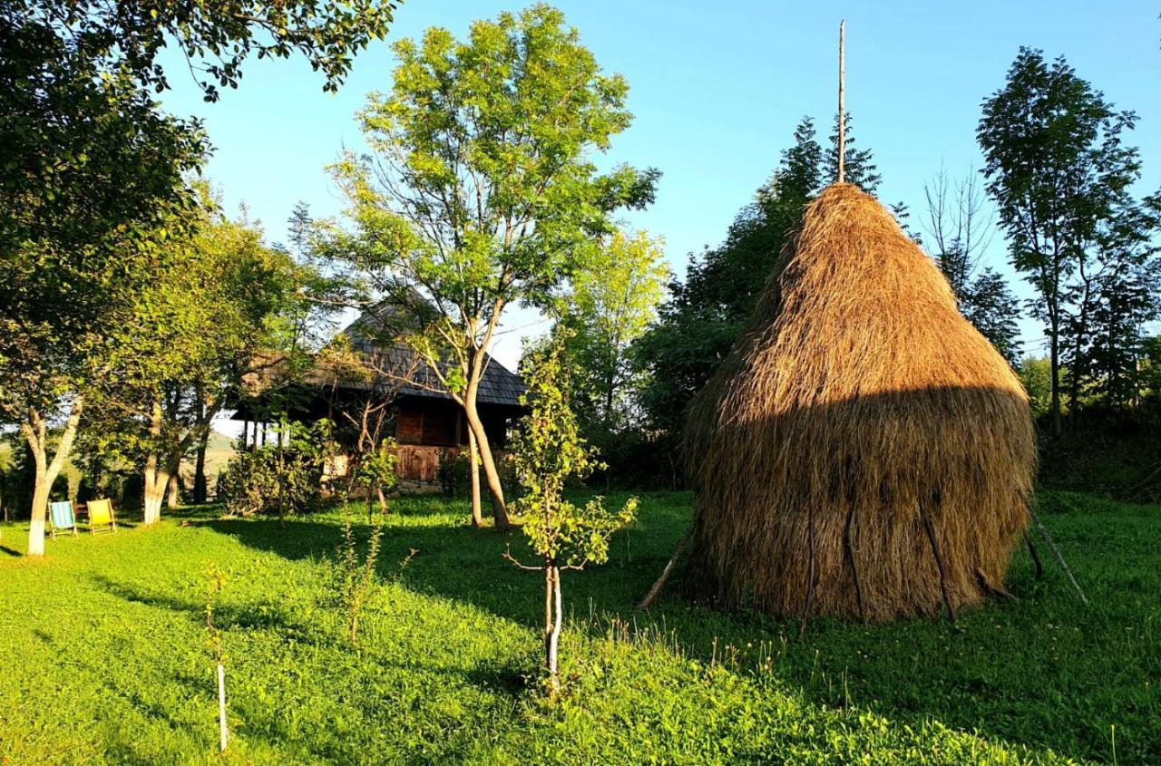 Willa Granny'S House Moisei Zewnętrze zdjęcie