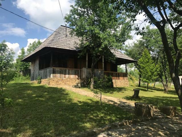 Willa Granny'S House Moisei Zewnętrze zdjęcie